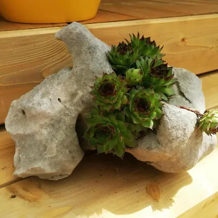 Σπίτι διακοπών Mobile Nensi *