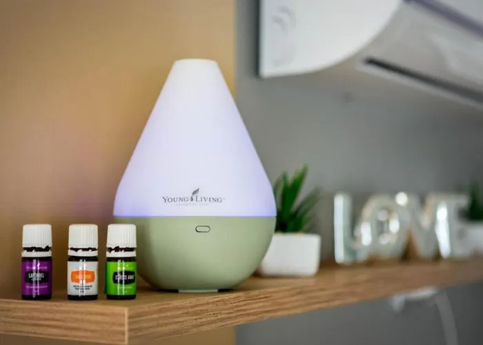 Mobile Nensi Vikendica Biograd Na Moru